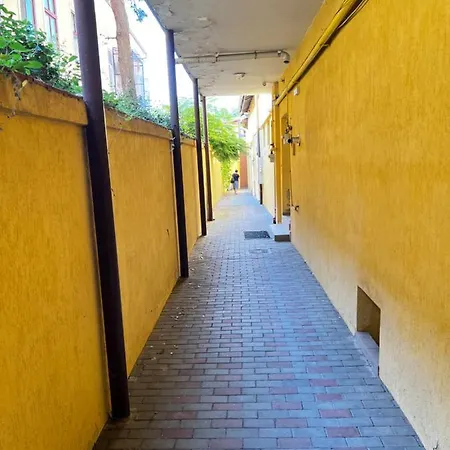 Appartement Modern In The Old Center Of Cluj-Napoca